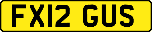 FX12GUS