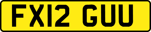FX12GUU