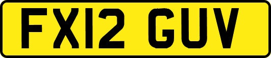 FX12GUV
