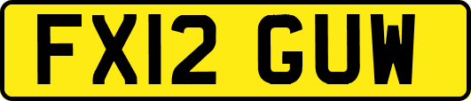 FX12GUW