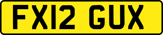 FX12GUX