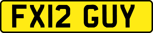 FX12GUY