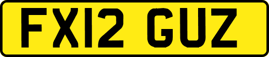 FX12GUZ
