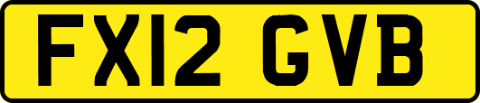 FX12GVB