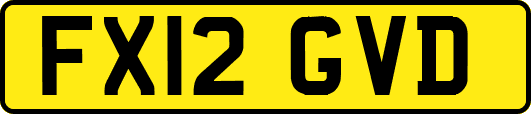 FX12GVD