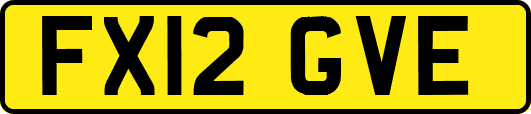 FX12GVE
