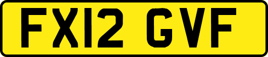 FX12GVF