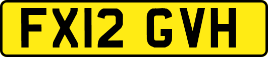 FX12GVH