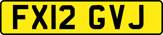 FX12GVJ