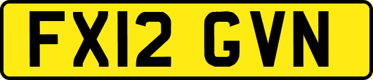 FX12GVN