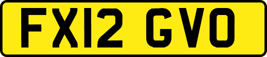 FX12GVO