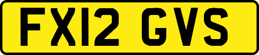FX12GVS
