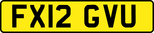 FX12GVU