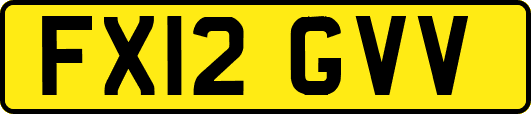 FX12GVV