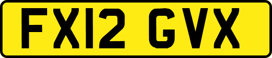 FX12GVX