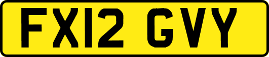 FX12GVY