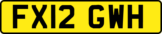 FX12GWH