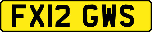 FX12GWS