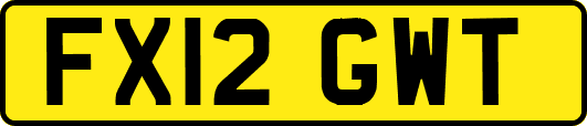 FX12GWT