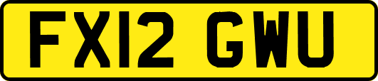 FX12GWU