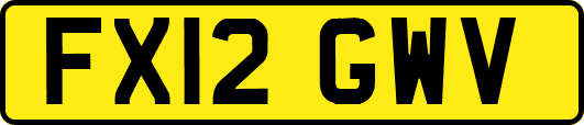 FX12GWV