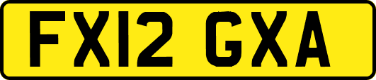FX12GXA