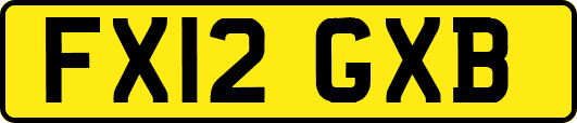 FX12GXB
