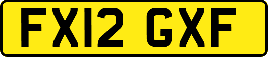 FX12GXF
