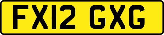 FX12GXG