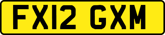 FX12GXM