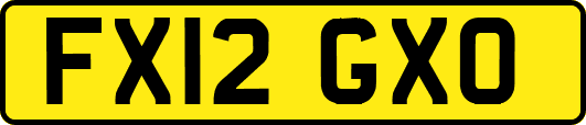 FX12GXO