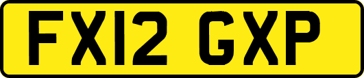 FX12GXP