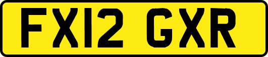 FX12GXR