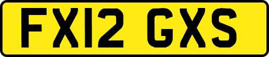 FX12GXS