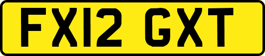 FX12GXT