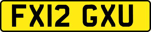 FX12GXU
