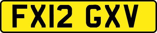 FX12GXV