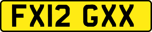 FX12GXX