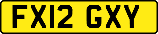 FX12GXY