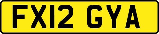 FX12GYA