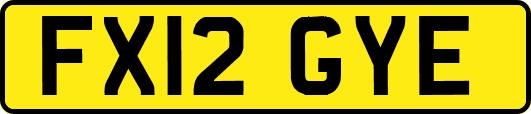 FX12GYE