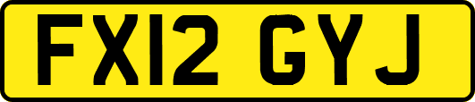 FX12GYJ