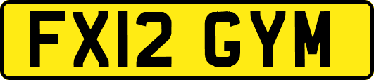 FX12GYM