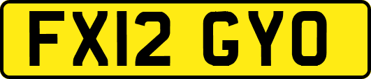 FX12GYO