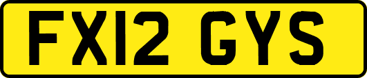 FX12GYS