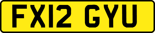 FX12GYU