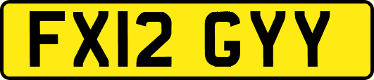 FX12GYY
