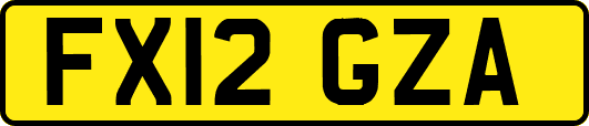 FX12GZA