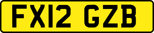 FX12GZB
