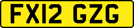 FX12GZG